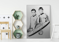 Image 2 of Star Trek Artwork On Metal