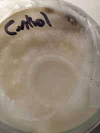 Image 4 of Colloidal Silver 