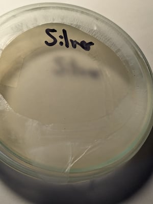 Image of Colloidal Silver 