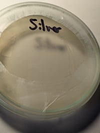 Image 3 of Colloidal Silver 