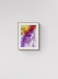 Image 1 of Soft Resilience #12