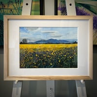 'The Yellow Malverns' by Antony Bridge
