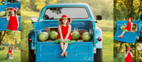 Image 1 of Liberty farm and Watermelon Truck minis  minis June 18th
