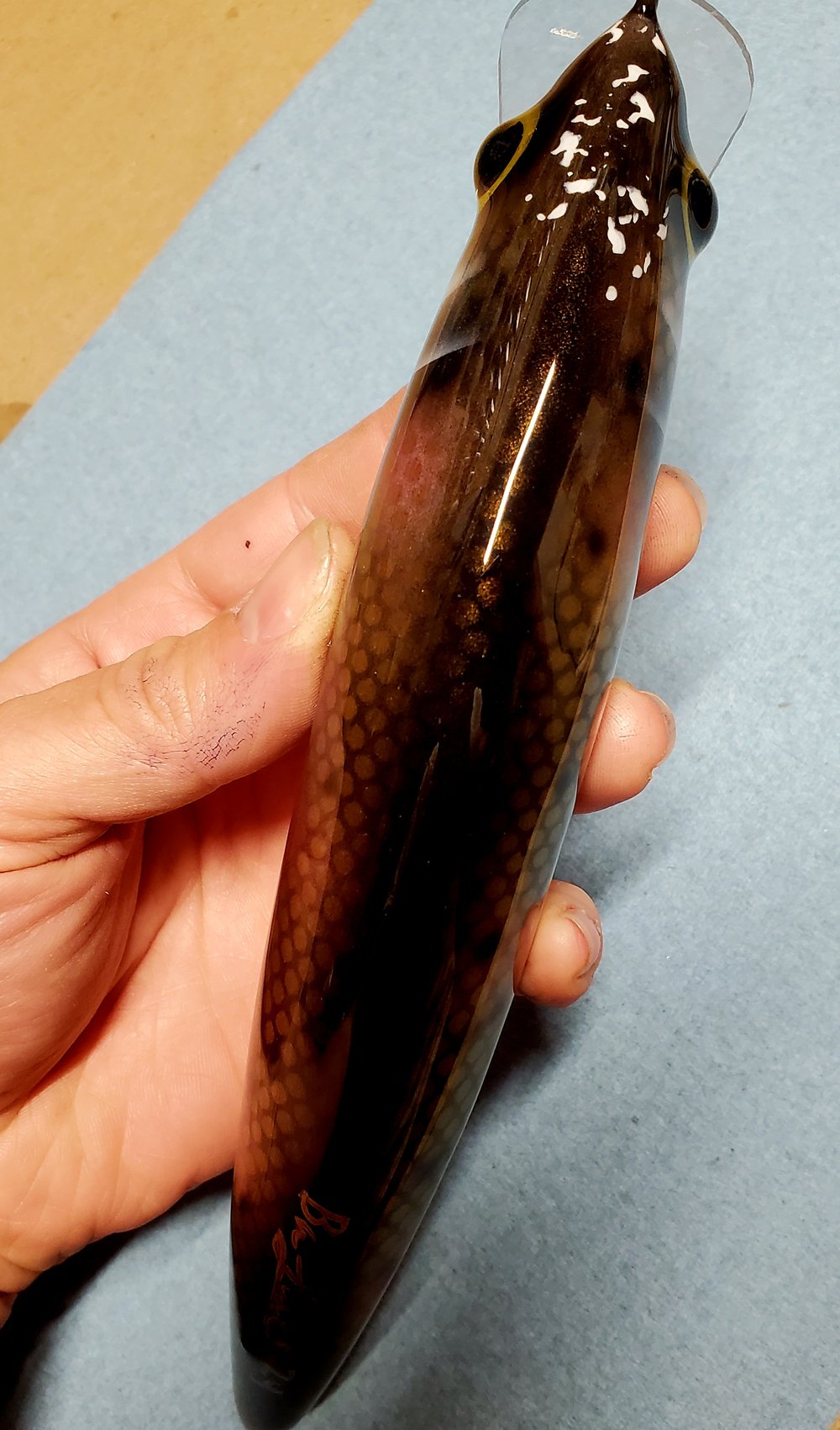 9" Twich Creek chub