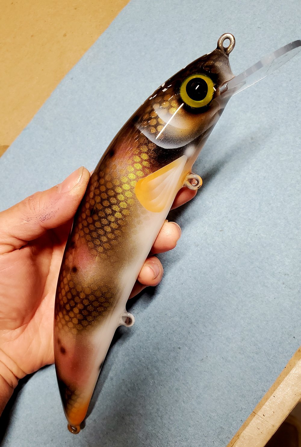 9" Twich Creek chub