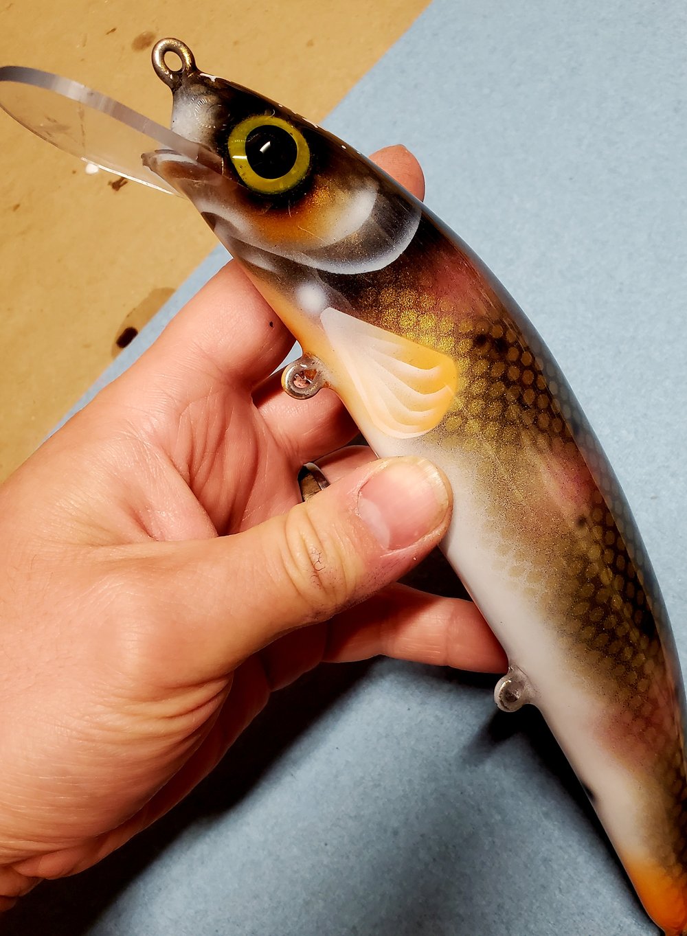 9" Twich Creek chub