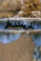 Image of Midnight at the Beach – Cups