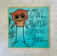 owl always love you 