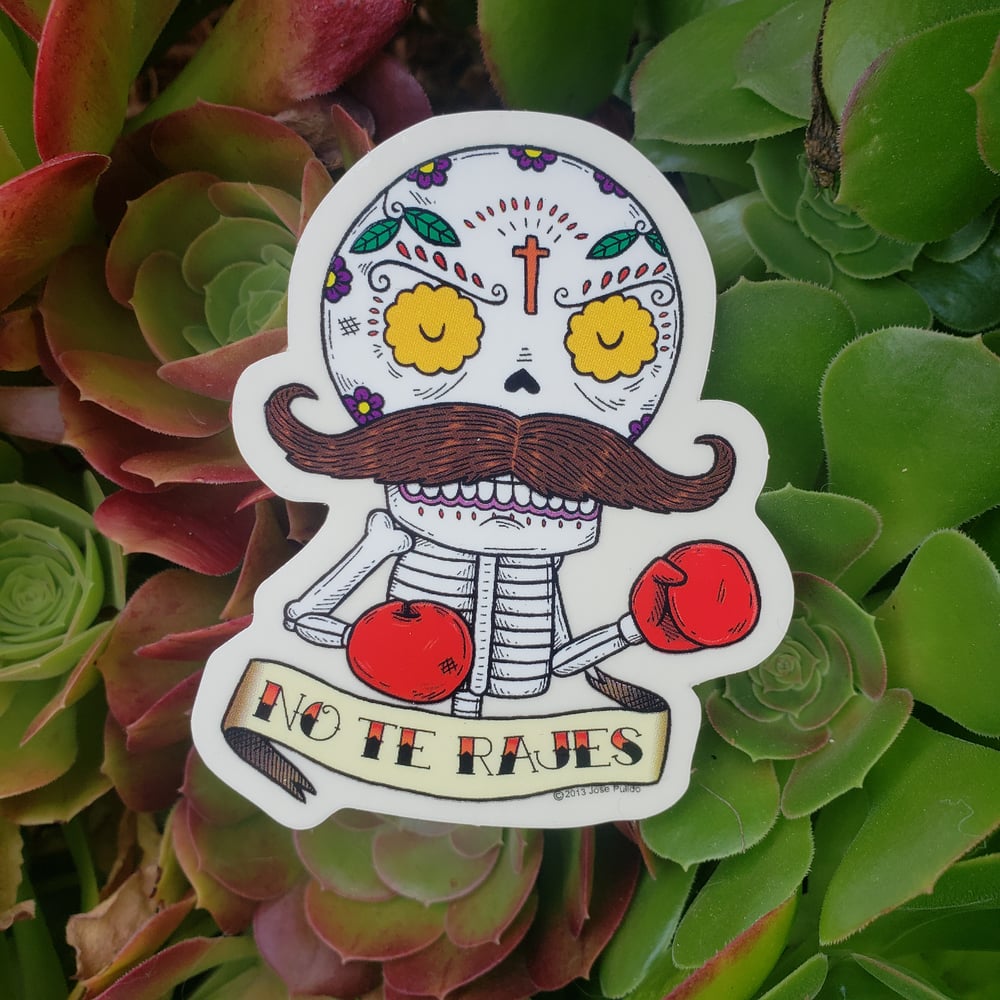 Boxeador Calavera Vinyl Sticker