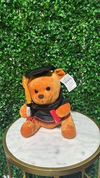 Image 1 of Graduation Bear