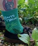 Plants are Magic socks