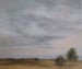 Image of Coucher de soleil à la campagne