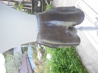 Image 2 of  Dusty  Gold Leather Pants