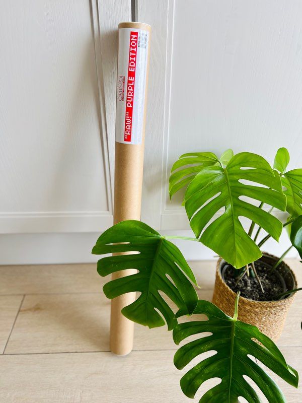 Orlinski Richard Print Raw Purple Edition Violet