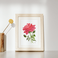 Image 6 of The Rose- poster print