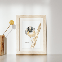 Image 5 of Rufous Bush Tit- poster print