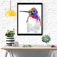 Image 5 of Fiery Hummingbird-Poster Print