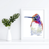 Image 1 of Fiery Hummingbird-Poster Print