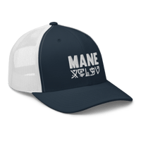 Image 3 of Sticker Cap