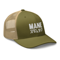 Image 5 of Sticker Cap