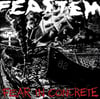 Feastem "Fear in Concrete" - CD
