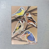[ANIMALS] Birds - Vinyl Sticker Sheet
