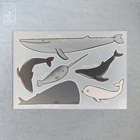 [ANIMALS] Whales - Vinyl Sticker Sheet