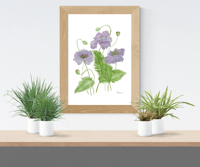 Image 3 of Gray Poppies-Poster Print 