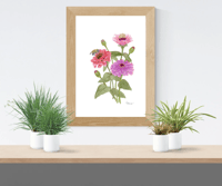 Image 3 of Zinnias-Poster Print