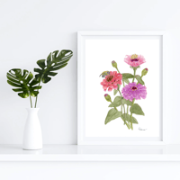 Image 2 of Zinnias-Poster Print