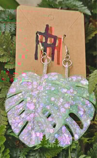 Image 2 of Monstera ...