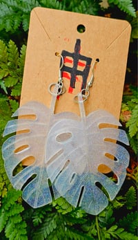Image 4 of Monstera ....
