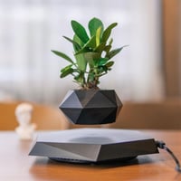 Black Magnetic Levitation Flower Floating Pot