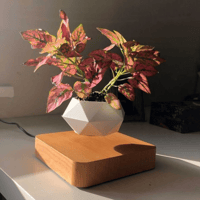 Light color Magnetic Levitation Flower Floating Pot