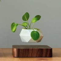 Dark color Magnetic Levitation Flower Floating Pot 