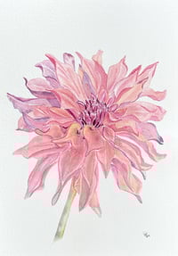 Image 2 of Coral Dahila- original artwork 