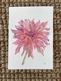 Image 5 of Coral Dahila- original artwork 