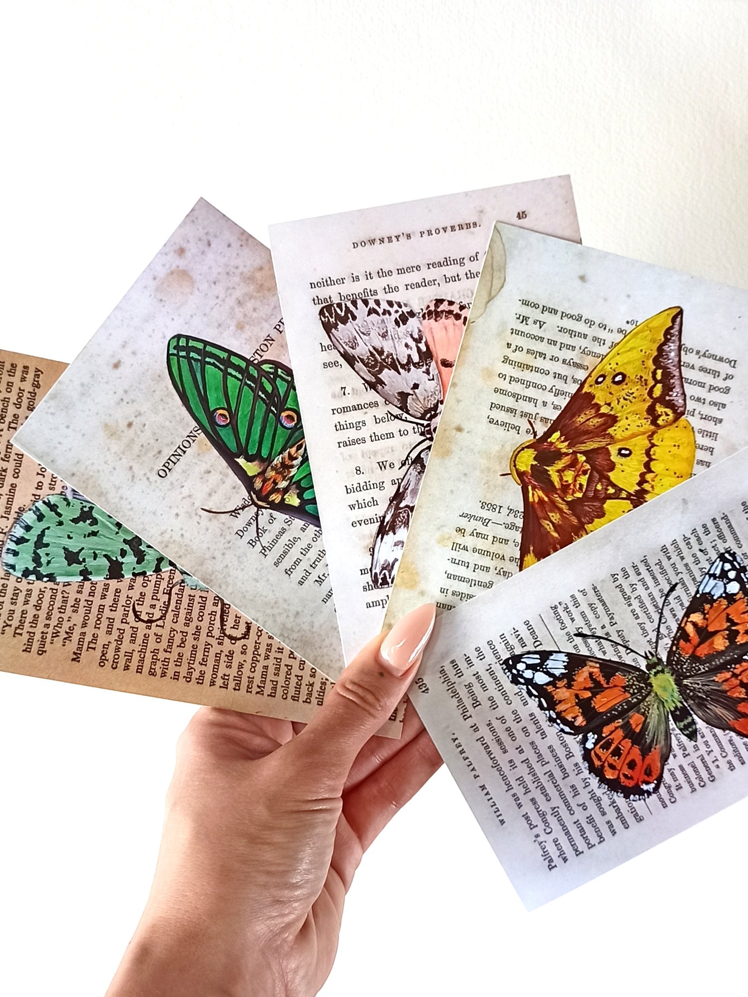 Image of Lepidoptera Collection Postcard Set 