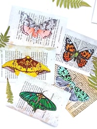 Image 1 of Lepidoptera Collection Postcard Set 