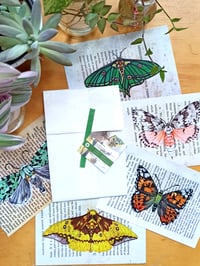 Image 3 of Lepidoptera Collection Postcard Set 