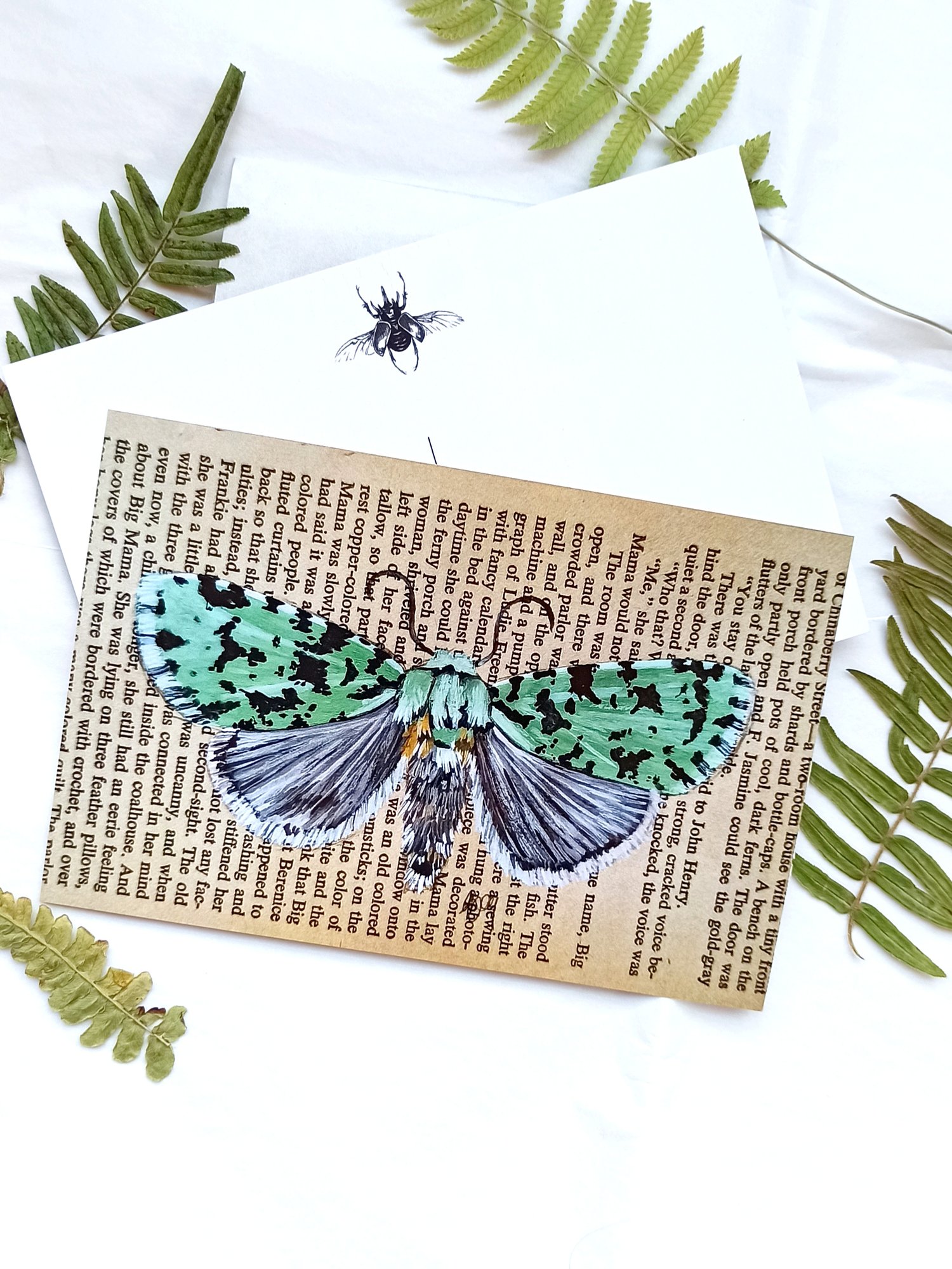Image of Lepidoptera Collection Postcard Set 