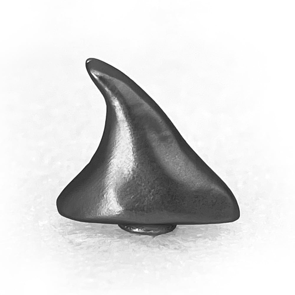 Image of SM Thorn Pin