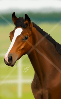 Bay Yearling Realism 