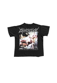 GORE TOUR T