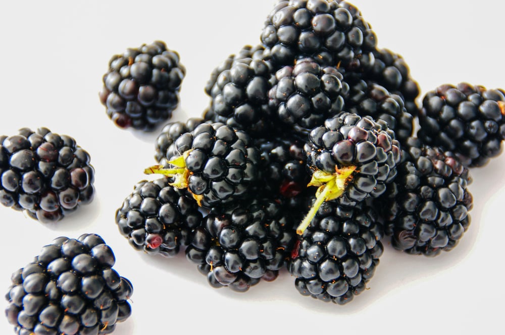 Freeze-Dried Brazilian Blackberry Powder. Blood Pressure-Muscle-Cholesterol-DNA-Brain