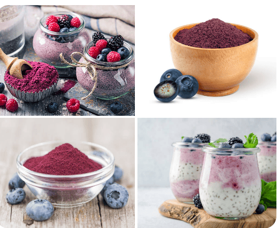 Blueberry Fruit Powder. Cognition-Gut-Heart-Bones-Blood Pressure-DNA-Immunity