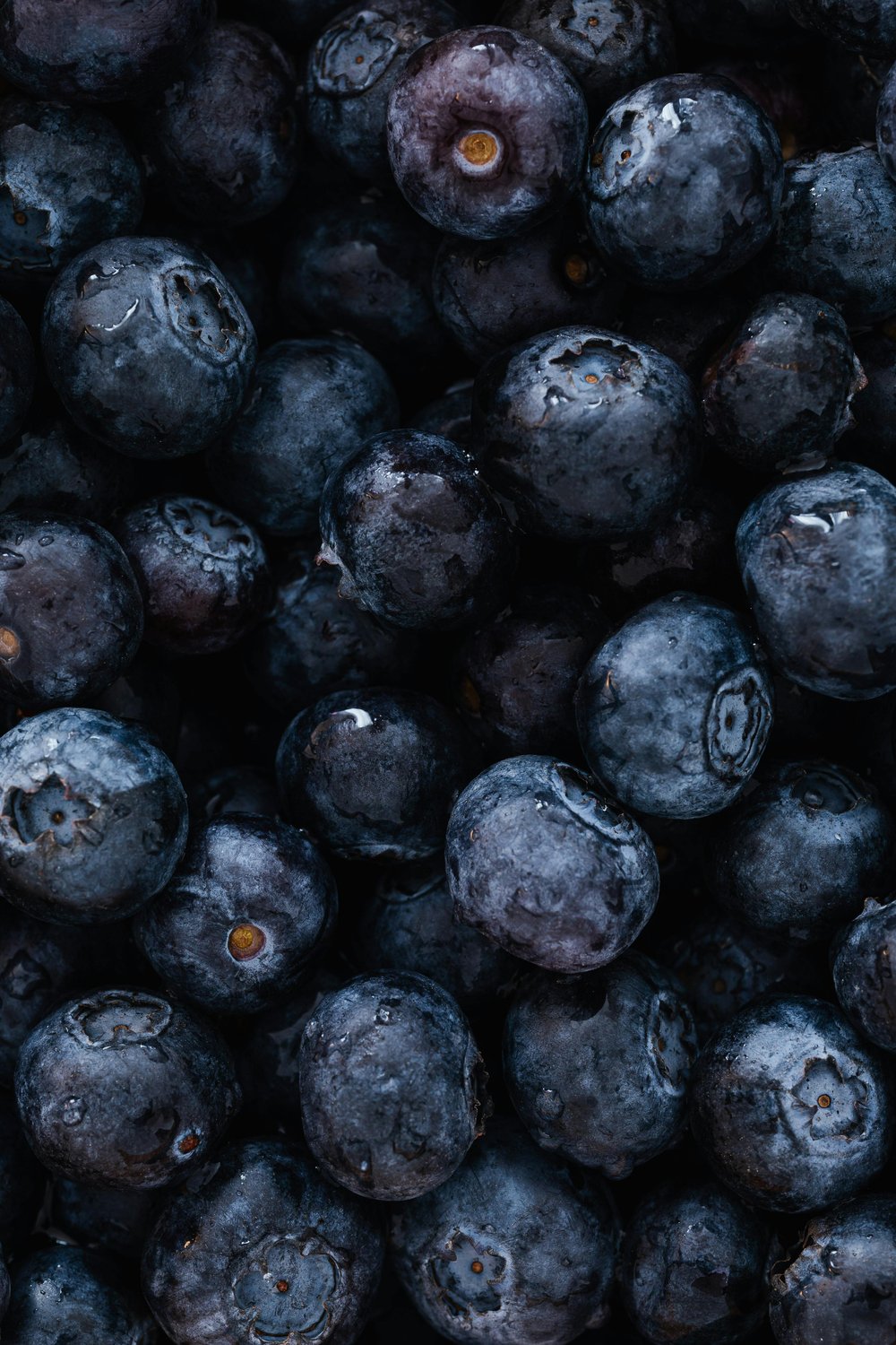 Blueberry Fruit Powder. Cognition-Gut-Heart-Bones-Blood Pressure-DNA-Immunity