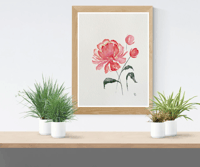 Image 2 of The Peony- original watercolour 