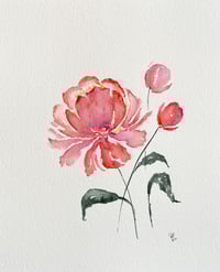 Image 3 of The Peony- original watercolour 