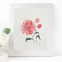 Image 4 of The Peony- original watercolour 